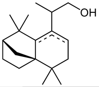 極品龍涎醇 10%